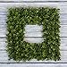 Pure Garden Boxwood Wreath - 16.5-Inch Square UV Resistant Artificial Spring, Summer, Fall or Winter Wreath - Outdoor/Indoor Wreaths for Front Door