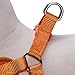 Blueberry Pet 4 Colors Better Basic Dog Harness Vest, Orange Fusion, Chest Girth 16