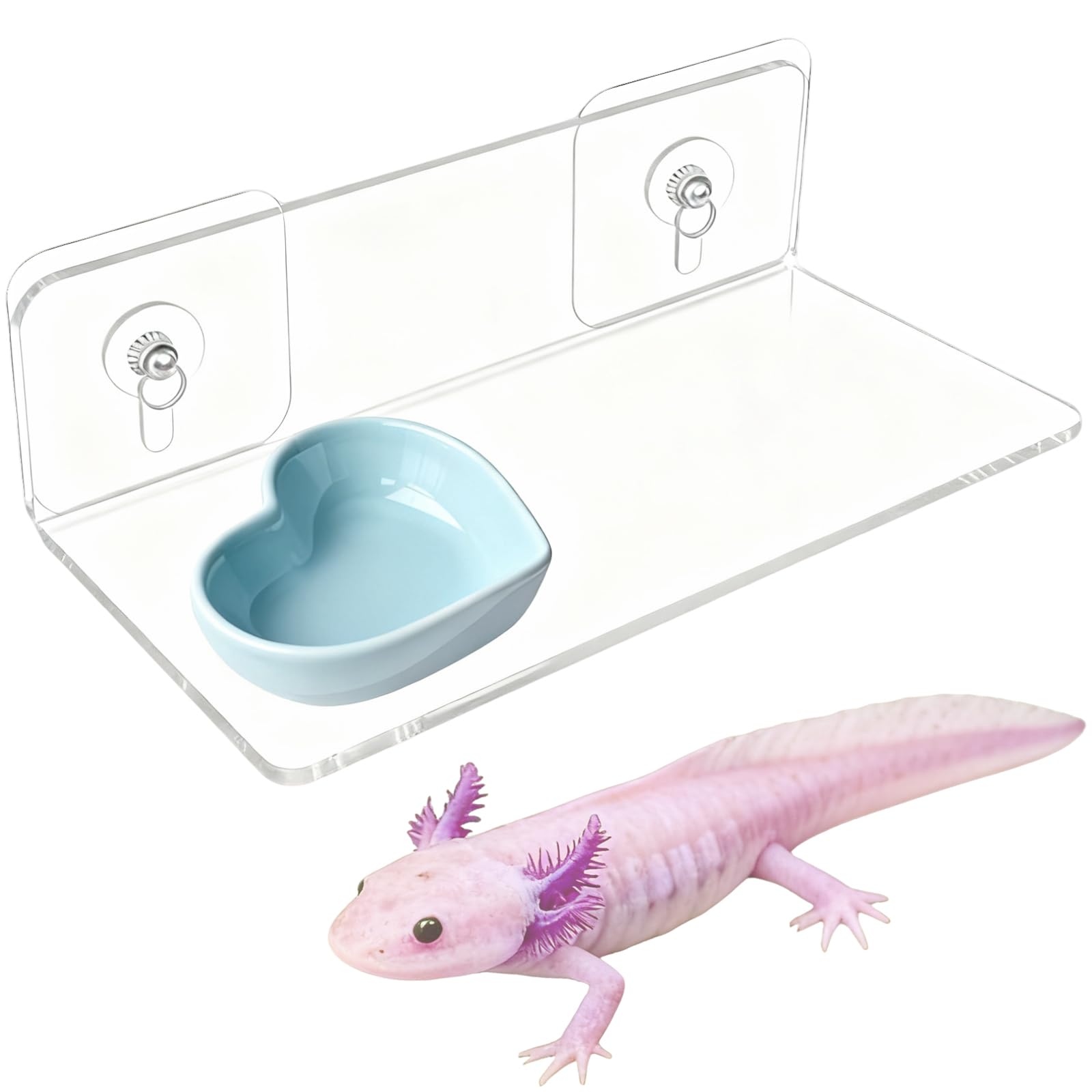 Photo 1 of Axolotl Feeding Shelf with Feeder Bowl, Axolotl Hammock for Aquarium with Feeding Tray, Axolotl Tank Accessories for Bearded Dragons, Geckos, Lizards, Hamsters, Crabs