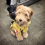 Review Image by Susie Williams