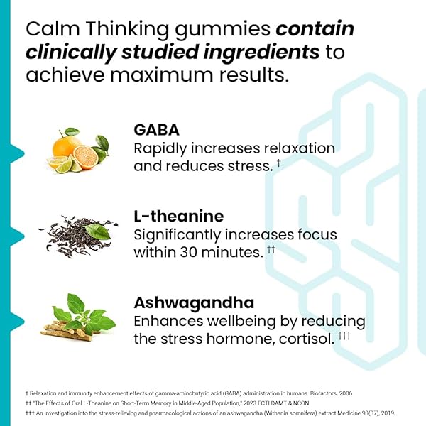 LIFESEASONS NEUROQ CALM THINKING GUMMIES – RELAXATION SUPPORT, CALM & FOCUS – WITH SENSORIL ASHWAGANDHA, GABA, L-THEANINE, LEMON BALM & CHAMOMILE – 30 DAY SUPPLY / 90 GUMMIES