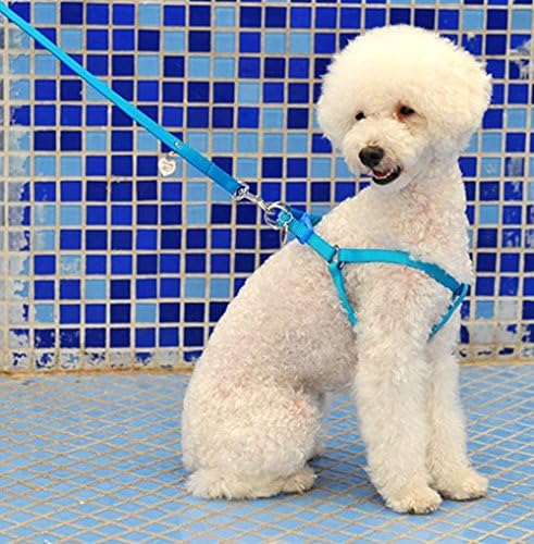 No Pull Dog Leash Harness,HYSJY Pet Leash Rope,Pet Leash Strap,Nylon Leash Collar with Adjustable-Best for Walking, Hiking &amp; Training Canine fit Medium/Small Pet(Larger, Blue)