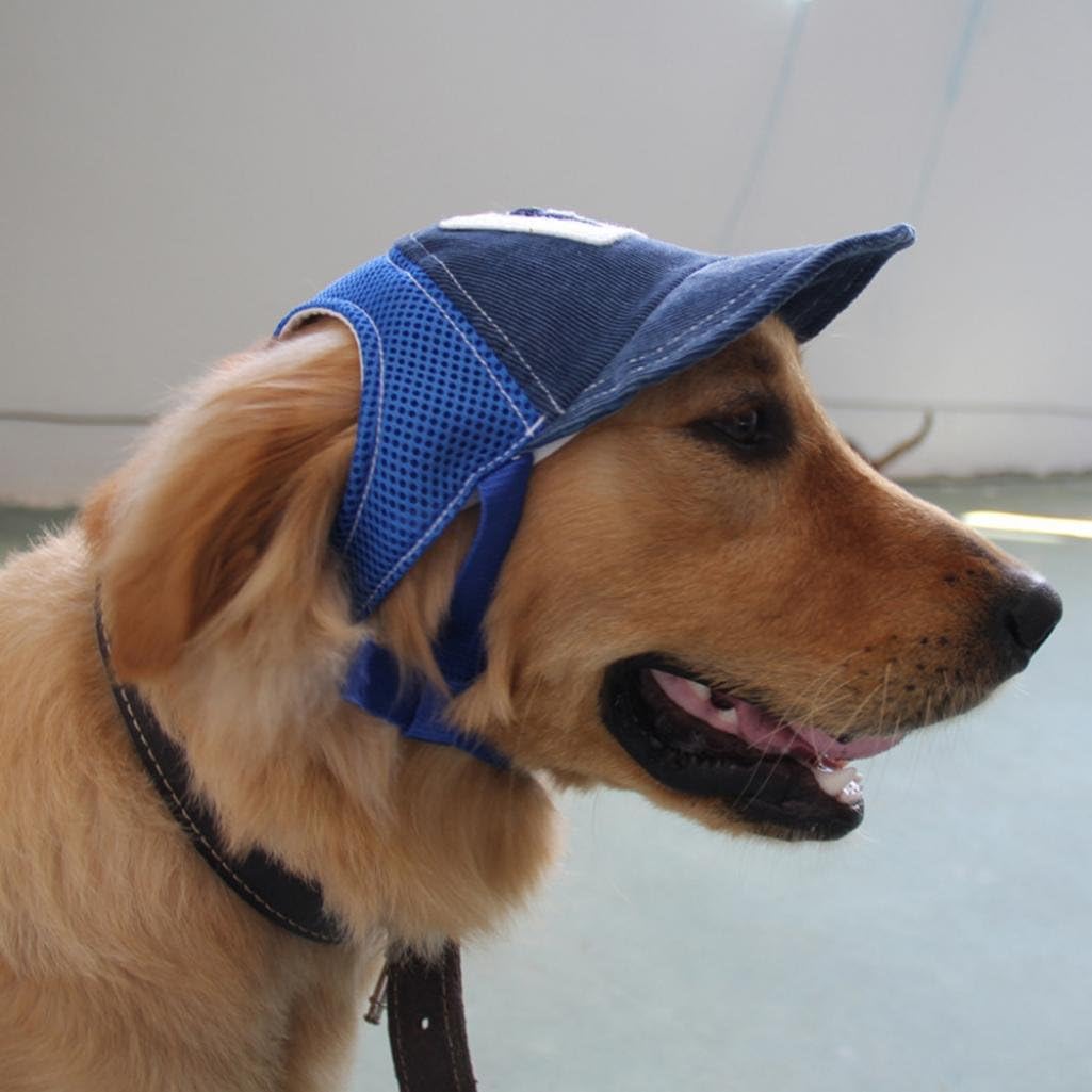 M e L con cinghia sottogola regolabile Cane cappello da baseball per cani  taglie S con visiera Cappelli urban-earth.co.uk