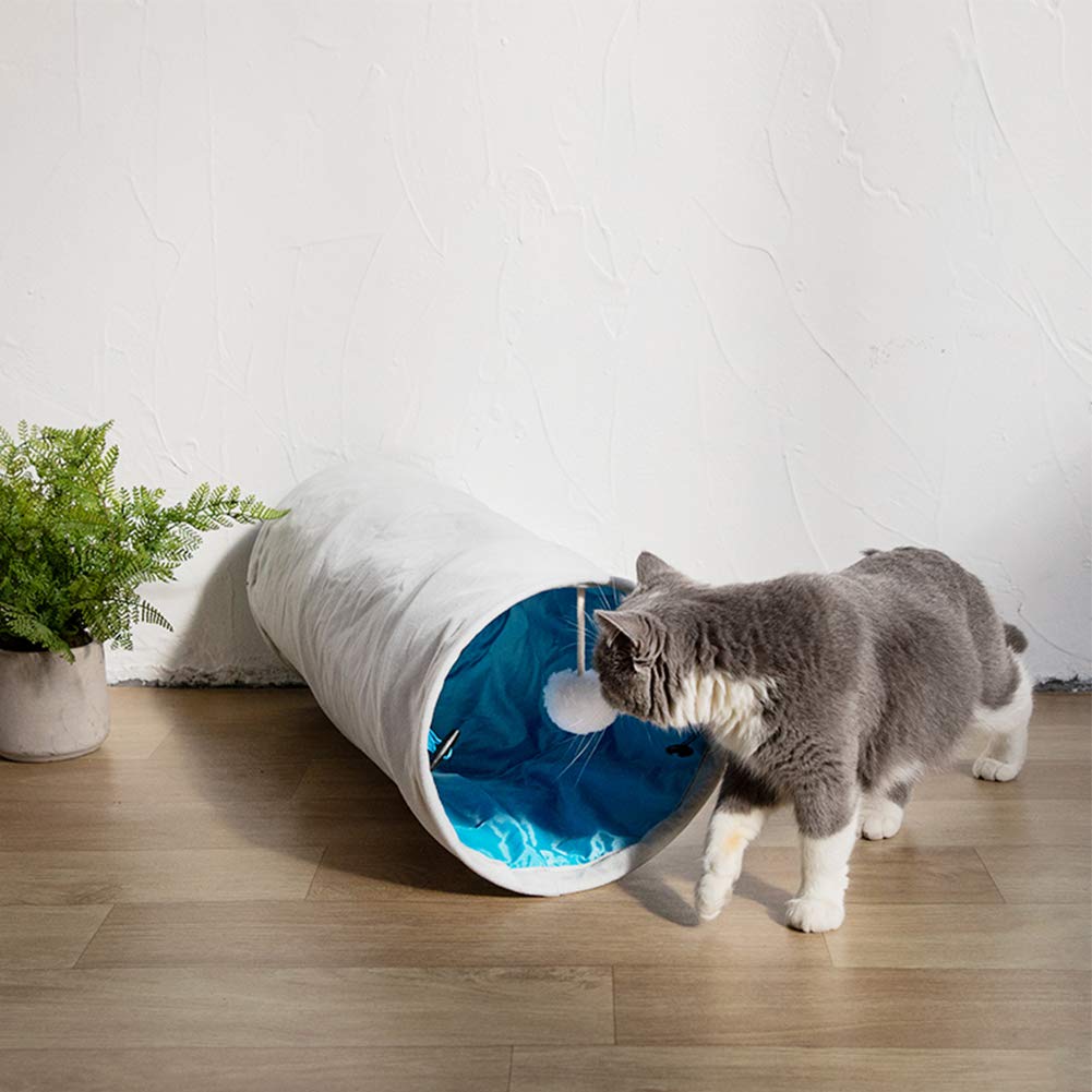 small cat tunnel