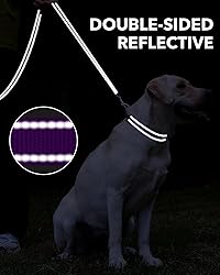Taglory Dog Leash for Small Dogs, Double-Sided
