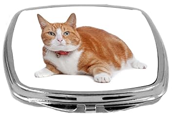 Buy Rikki Knight European Short Haired Ginger And White Cat Design