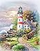 Springbok Signal Point Jigsaw Puzzle (36-Piece)