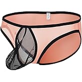 JINSHI Men's Sexy Mesh Breathable Briefs Low Rise See Through Underwear