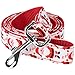 Itery Christmas Cheer Strong Durable Dog Leash Strap for Puppy Pet--6 Feet Long, 1 Inch Wide (Santa Claus)