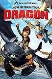 Posters USA - How to Train Your Dragon Movie Poster GLOSSY FINISH) - MOV162 (24