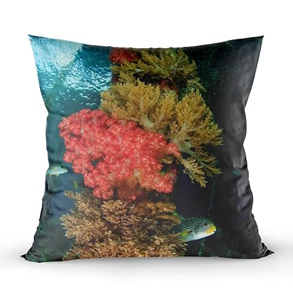 Amazon Com Shorping Holiday Pillow Covers Zippered Covers