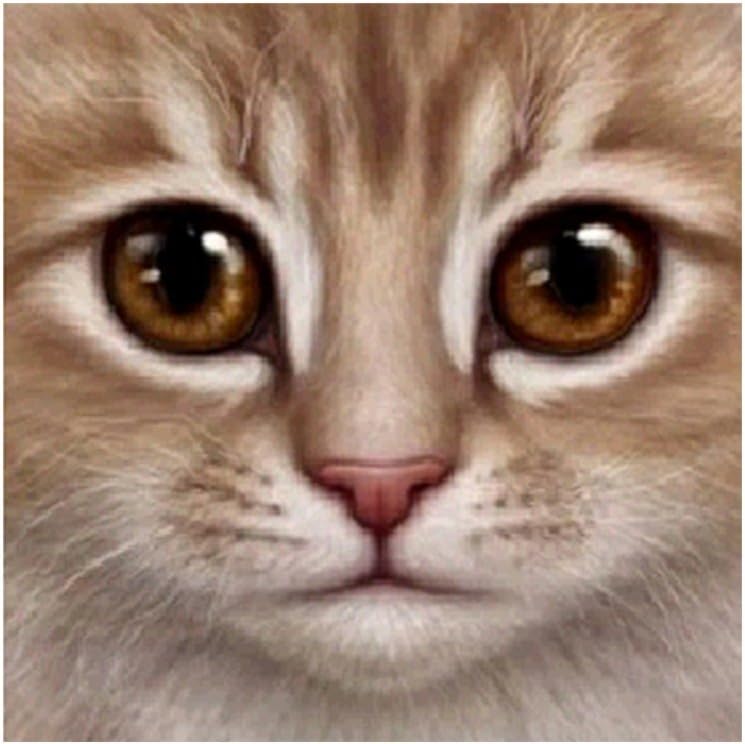 Cute Cat Pattern Frameless DIY Diamond Painting DIY Cross Stitch Home Room Decor Wall Art