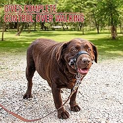 ALPHA BOY Dog Training HeadCollar – Comfortable