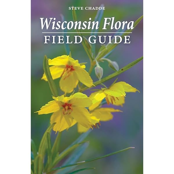 洋書 A handbook of the Yemen Flora 洋書 A handbook of the Yemen Flora A Handbook of the Yemen