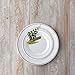 Masterpiece Premium Quality Heavyweight Plastic Plates: 25 Dinner Plates and 25 Salad Plates