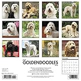 Image de Just Goldendoodles 2018 Calendar