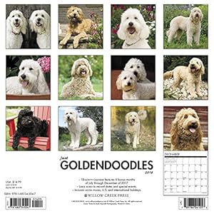 Just Goldendoodles 2018 Calendar