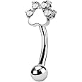 COCHARM Cute G23 Titanium Paw Print Rook Earrings for Women Men-6mm, 8mm 16g Rook Piercing Jewelry Puppy Surgical Steel Eyebrow Rings Internally Threaded Dainty Eyebrow Barbells