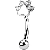COCHARM Cute G23 Titanium Paw Print Rook Earrings for Women Men-6mm, 8mm 16g Rook Piercing Jewelry Puppy Surgical Steel Eyebrow Rings Internally Threaded Dainty Eyebrow Barbells