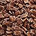 Mesquite-smoked Sprouted Raw Texas Native Pecan Halves 12 Oz