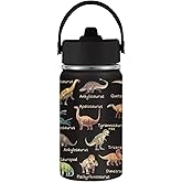 FAIVHSO Dinosaur Gifts for Kids Boys, 12 oz Water Bottle with Straw Lid, Stainless Steel Vacuum Insulated Bottle, Leakproof, Dinosaur Cup Gifts for Birthday Holiday