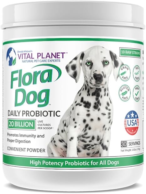 neutered guinea pig for sale