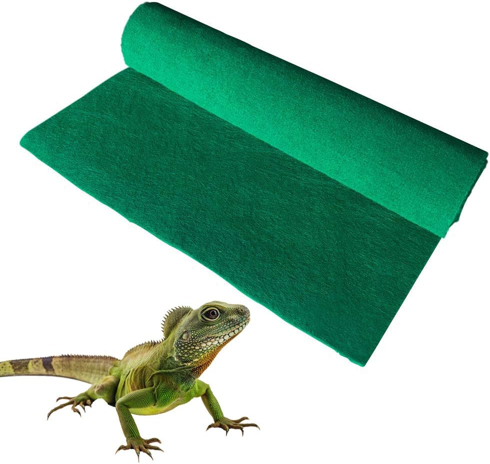 dog food direct coupon