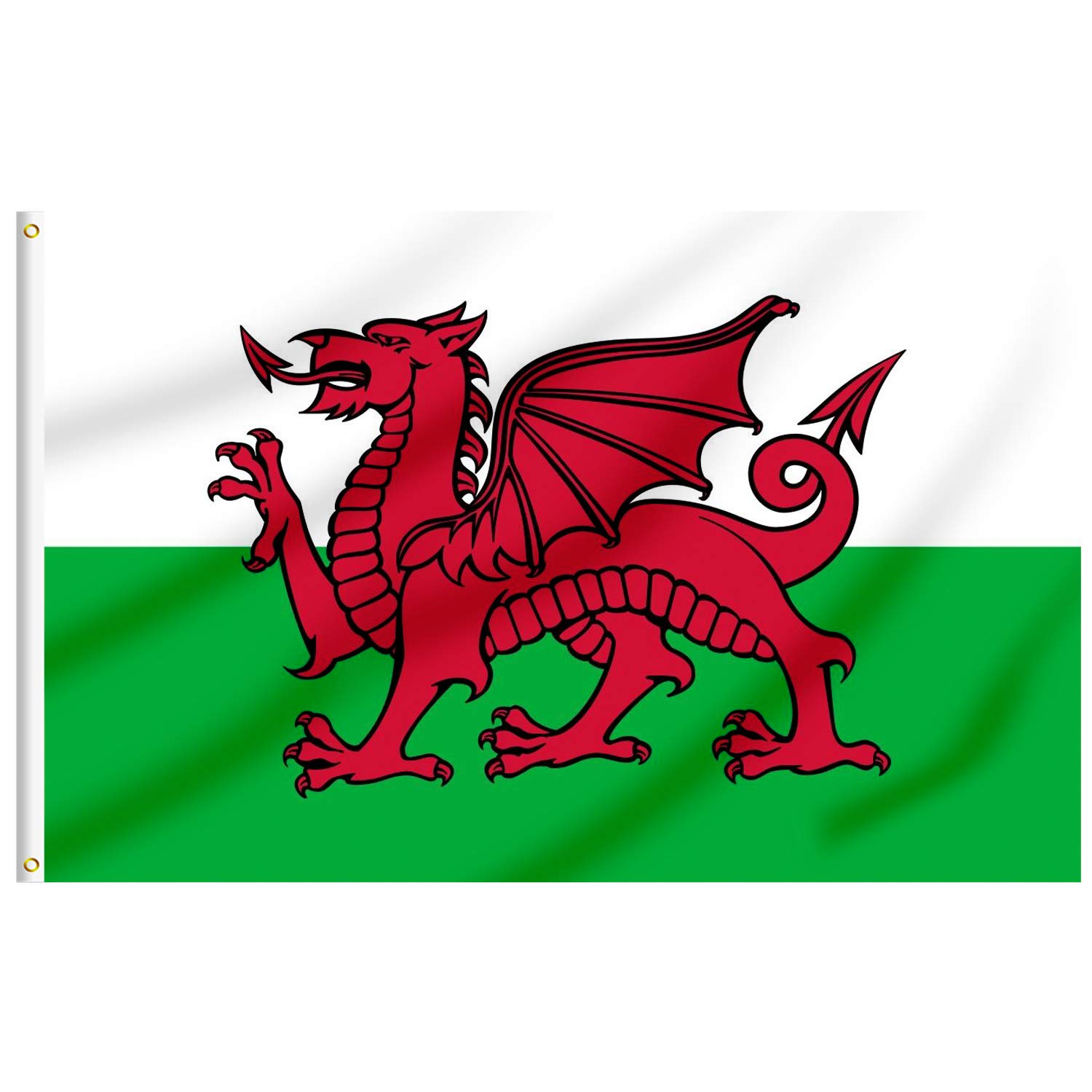 FLAGBURG Welsh Dragon Flag - 8ft x 5ft (150x240cm) Canvas with Eyelets for Indoors and Outdoors