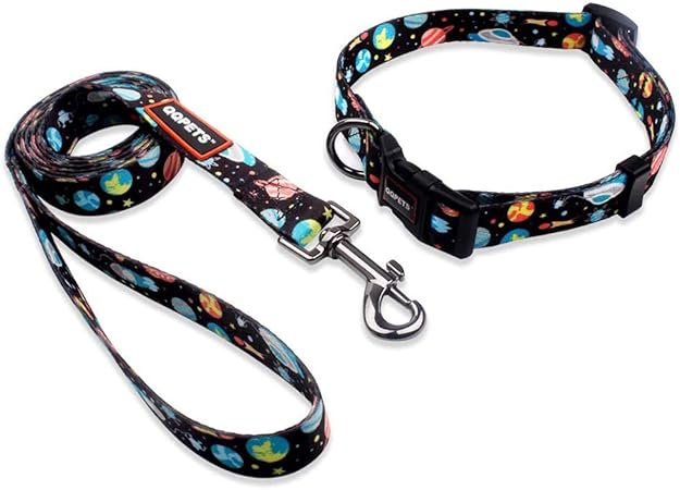 puppy leash and collar set