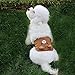 Bolbove Cute 2pcs Male Puppy Belly Band for Small Boy Dogs Incontinence Problems/Training (Bear + Bee, Large)