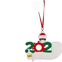 Stickit Graphix Christmas Decorations Indoor, 2020 Christmas Ornament Quarantine Survivor Personalized Decorating Gifts…