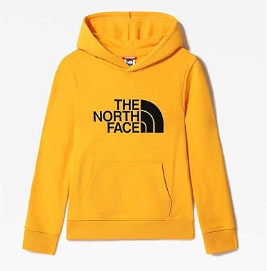 north face drew peak hoodie junior