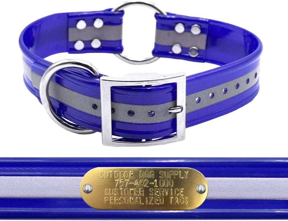 Outdoor Dog Supply 1.5" Heavy Duty Large Dog Collar Strap