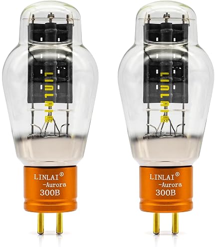 Amazon.com: LINLAI Heritage Series 300B Vacuum Tube Matched Pair