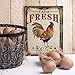 Barnyard Designs Retro Vintage Metal Tin Bar Sign, Decorative Wall Art Signage, Primitive Farmhouse Country Kitchen Home Décor (Fresh Eggs)