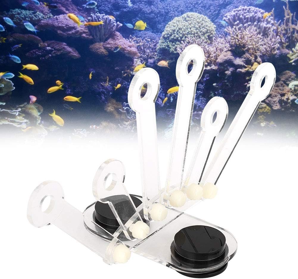 Cikonielf Acrylic Coral Racks Holder 6 Claw Tree Shape Brackets Transparent Fish Tank Bracket Holder Strong Magnet Coral Bracket for Fish Tanks Aquarium - Image 5