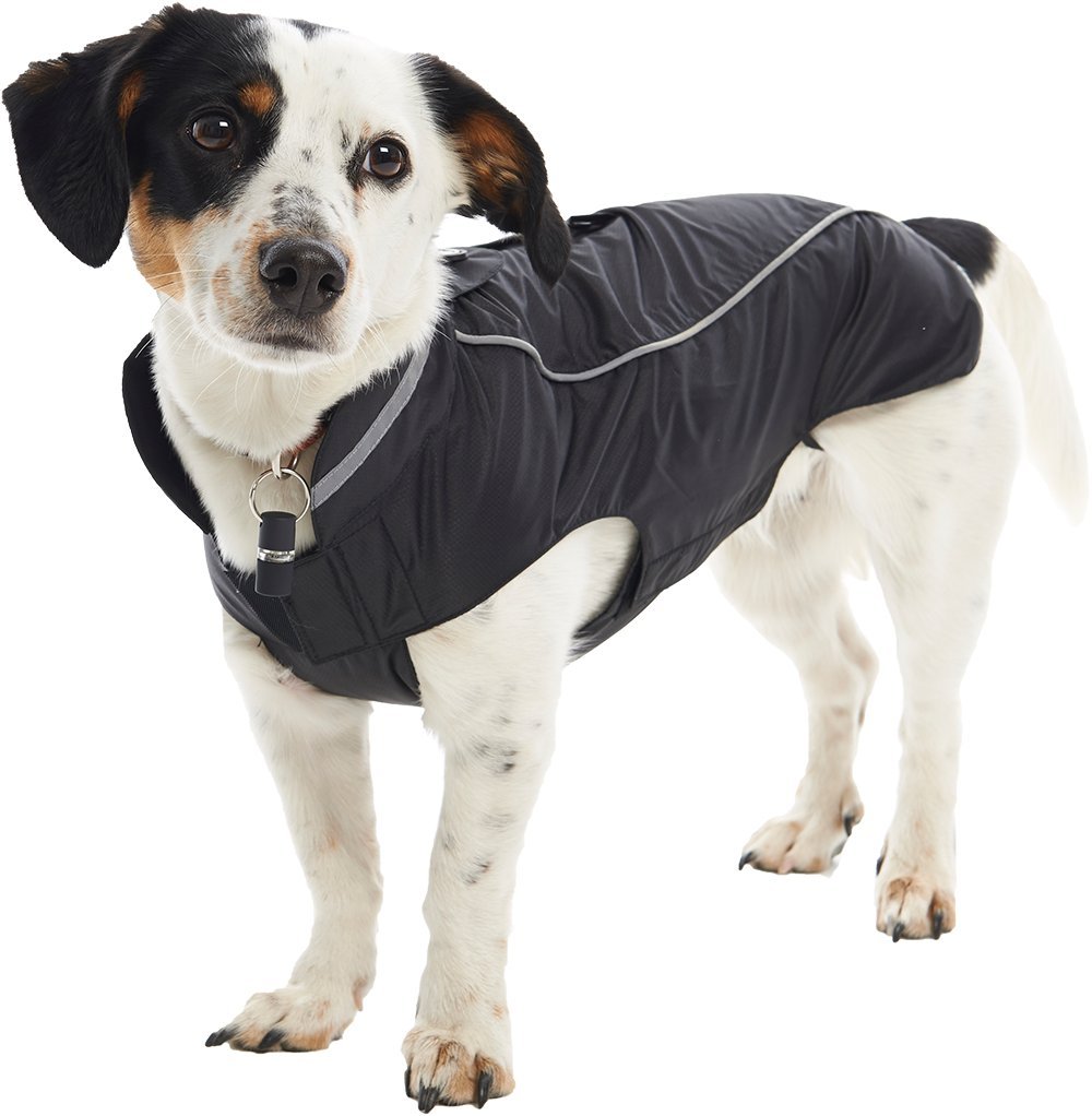 Buster Men's av2022-Buster-buster raincoat-b03e4276 pet raincoats, Black, Medium Large UK