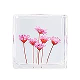 Bon Cube Desk Accessory Acrylic Resin Cube