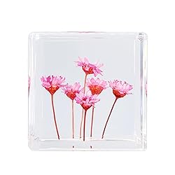 Bon Cube Desk Accessory Acrylic Resin Cube