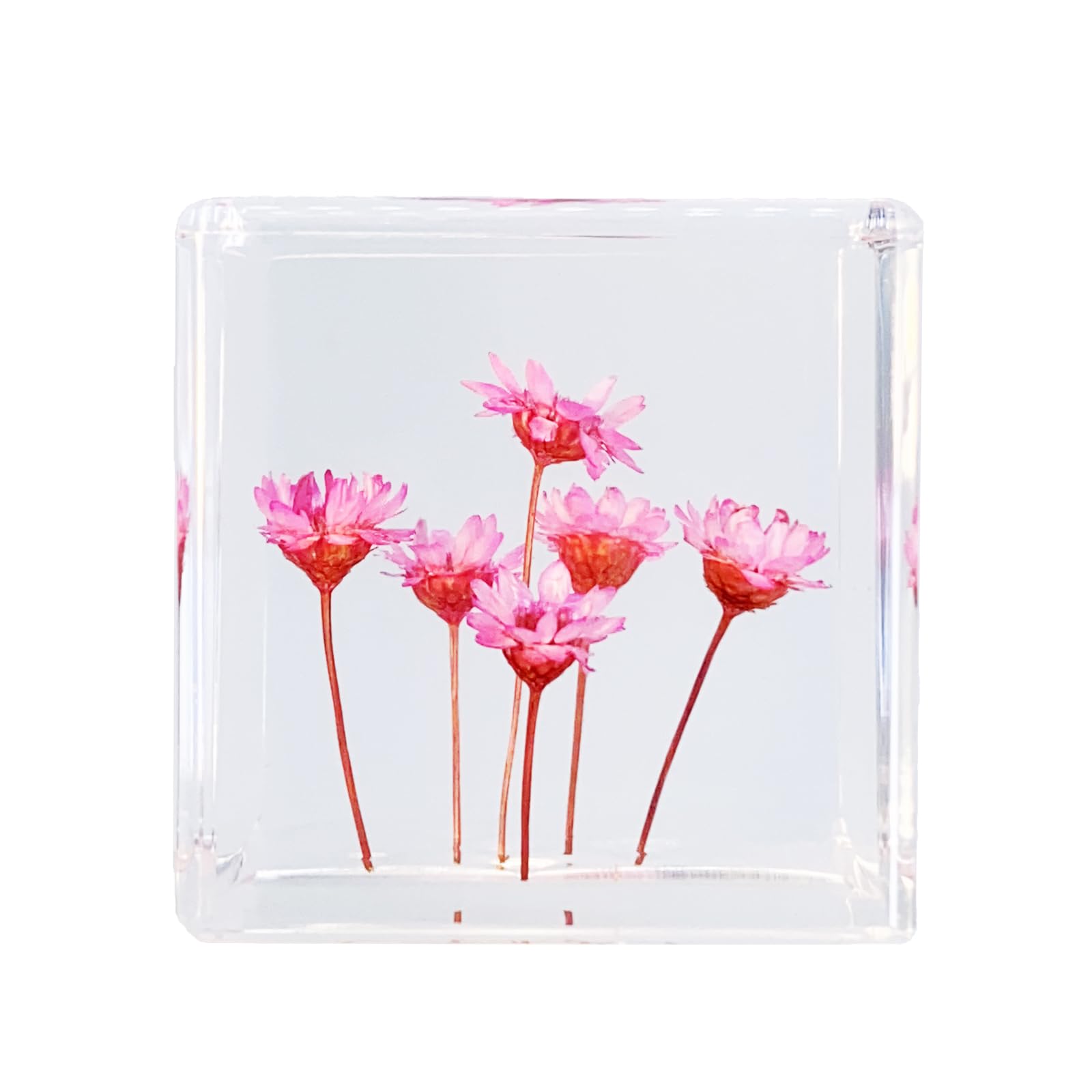 Bon Cube Desk Accessory Acrylic Resin Cube