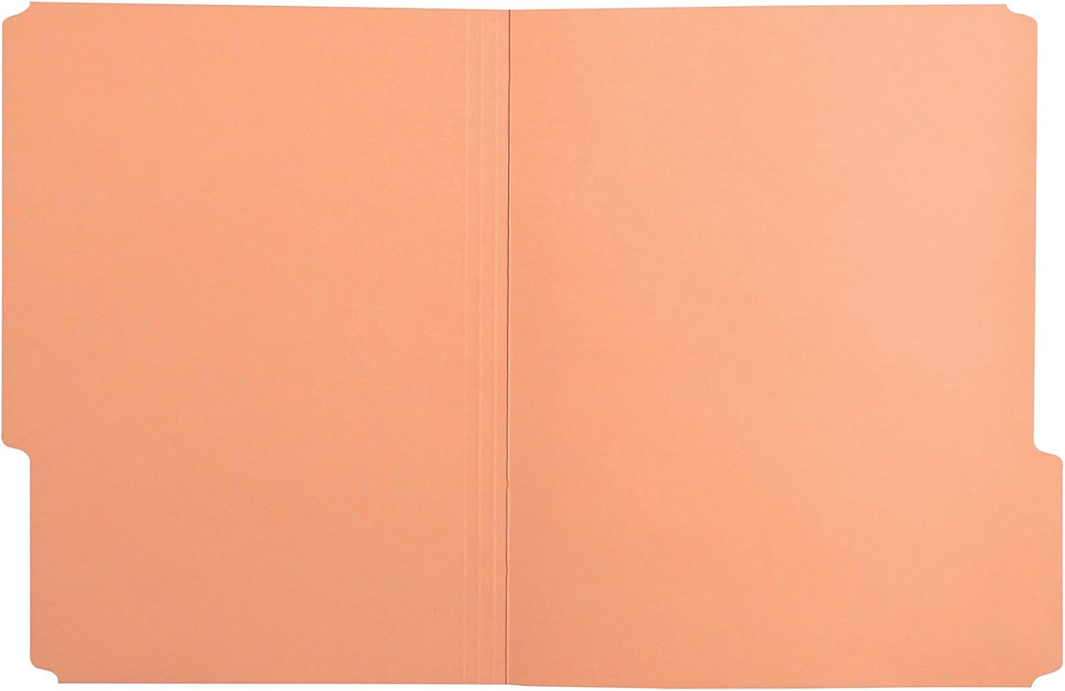Basics File Folders, Letter Size, 1/3 Cut Tab, Orange, 36-Pack : Office Products