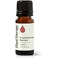 Plant Therapy Frankincense Serrata Essential Oils 100% Pure, Undiluted, Natural Aromatherapy, Frankincense Oil for Diffuser, Skin, Massage, & Joint Health, Therapeutic Grade 10 mL (1/3 oz)