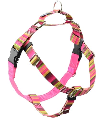 2 Hounds Design Freedom No-Pull Hundegeschirr Mit Leine – Medium, 1 Zoll Breit, Kelly Grün