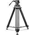 RAUBAY 70.8" Professional Heavy Duty Video Camera Tripod with Fluid Head, QR Plate for DSLR Camcorder, Max Loading 17.6lbs, Aluminum Twin Tube Leg with Metal Mid-Level Spreader DV-1 PRO