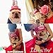 Bolbove Bro'Bear Dog Birthday Hat with Cake & Candles Design Party Costume Accessory Headwear Pink (One Size Fits Most)