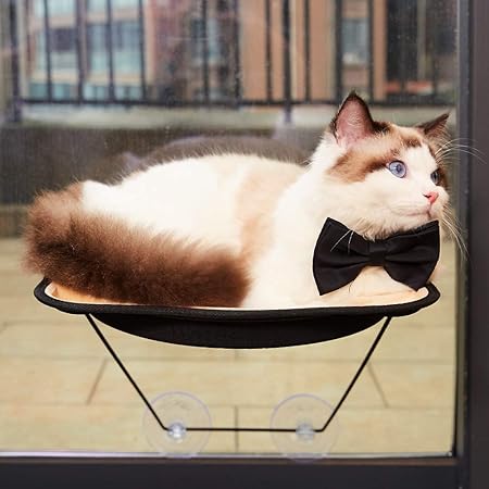 amazon cat window bed