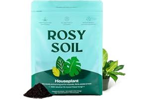 Rosy Soil Indoor Potting Soil for House Plants - Organic Potting Soil Mix for Indoor Plants - Enriched w/Root-Boosting Biochar for Foliage Plants, Flowers, Herbs - Peat Free, Less Prone to Gnats - 4qt