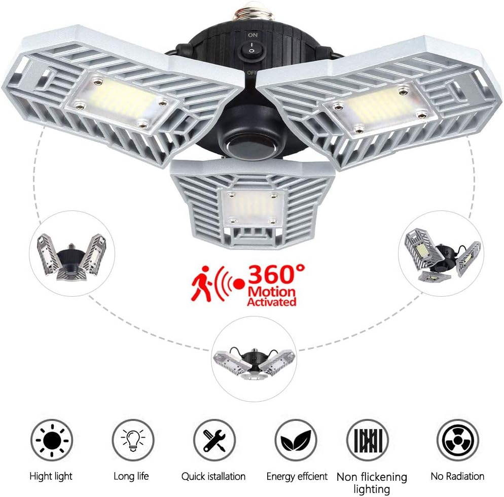 Best Wine Cellar Ceiling