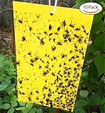 VANKINE 10-Pack Dual-Sided Yellow Sticky Traps for Flying Plant Insect Like Fungus Gnats, Aphids, Whiteflies, Leafminers - (10x7 Inches, Twist Ties Included) (10)