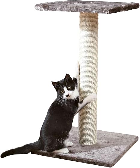 Trixie Arbre A Chat Espejo Gris Platinium 69 Cm Amazon Fr Animalerie